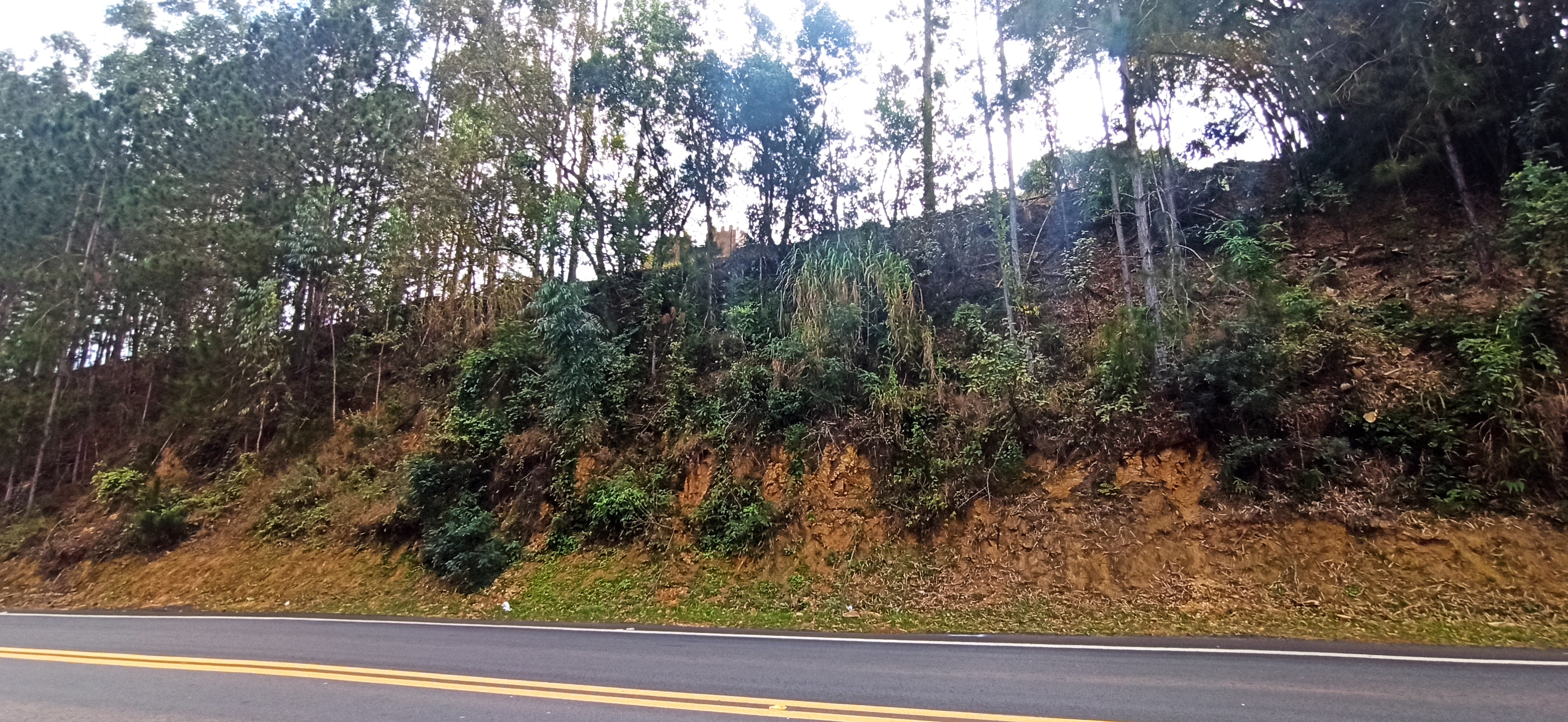 Recuperação de Talude – SP-255 – KM 357 — antes